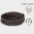 Professional Galvanized Common Nails with Nice Price